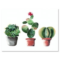 Три кактуси во садови од глина на бело сликарско платно уметничко печатење
