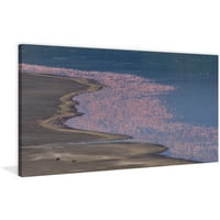 Мармонт Хил Фламинго море Сликарство печатење на завиткано платно
