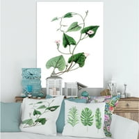 Антички зелени лисја растенија јас сликам платно уметнички принт