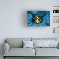 Баратие Габриел „Кловн риба во сина“ платно уметност